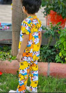 Cute Tiger Print Boys Outfit