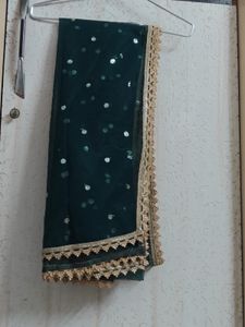 Designer Embellished Lehenga