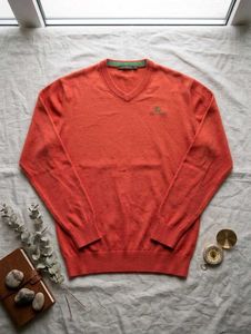Men's V-Neck Coral Sweater