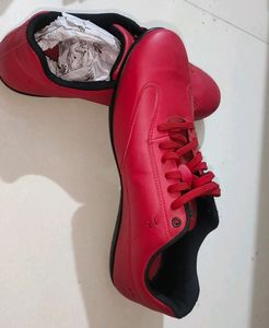 Ducati Unused Men Shoes