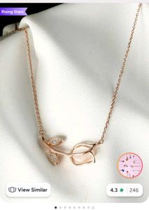 give silver necklace