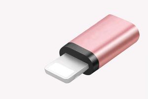 Rose Gold Lightning Adapter