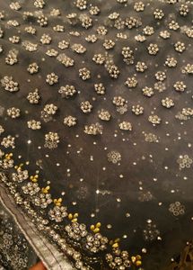 Embellished Saree
