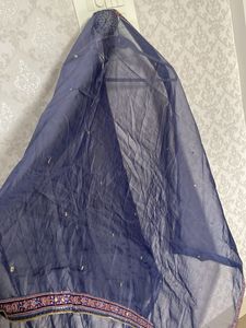 organza dupatta with sequence work four side print