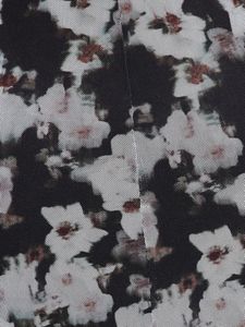 Floral Print Sheer Dress