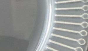 Quarter Plates Ikea