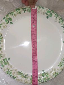 Unused New Set of 2 Elegant Leaf Dinner Plates