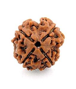 4 मुखी रुद्राक्ष | प्राकृतिक एवं ओरिजिनल चार मुखी
