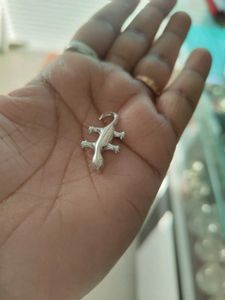 Pure Silver Lizard Nd Tortoise For Laxmi Pooja