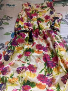 Floral Print Sleeveless Mini Dress