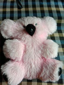 Baby Pink Teddy Dog