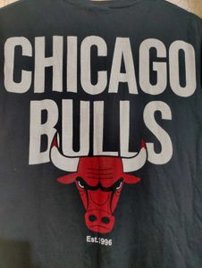 Chicago Bulls Logo Tee M Size