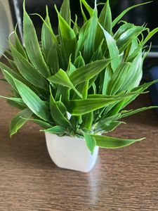 plastic artificial plant 1 piece