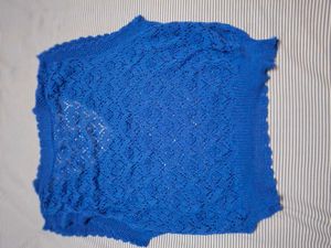 Blue Crochet Knit Top