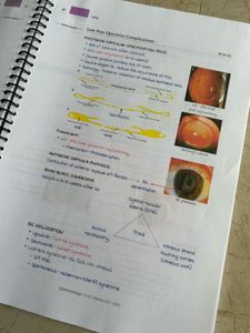 Ophthalmology MARROW Edition 8