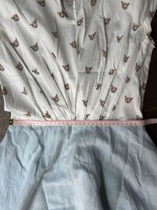 Tiger Print Dress from Paris