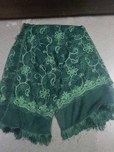 Beautiful Green Embroidered Dupatta