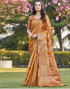 Elegant Traditional Saree