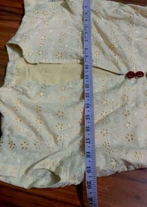 Elegant Embroidered Chikankari Gown