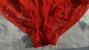Red Lace Briefs