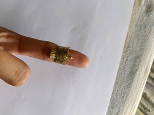 airjestable egle Ring formen standard quality