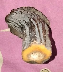 Antique 100+ Years Old Raindeer Horn Piece.