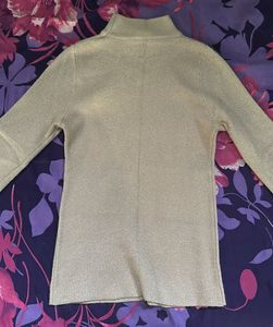 Shimmery High Neck Stretchable Top
