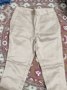 Elegant Beige Straight Leg Pants