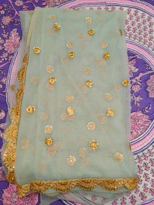 Sea Green Net embellished Saree