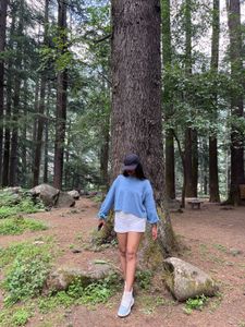 Blue Casual Sweatshirt