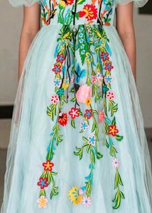 Stunning Embroidered Light Blue Gown