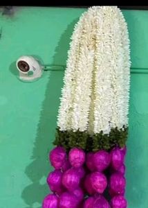 Lotus Guccha 3 Ft