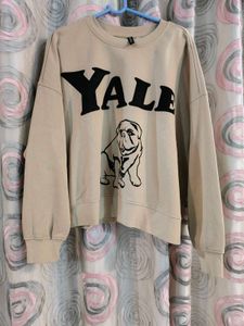 h&m Yale Bulldog Sweatshirt