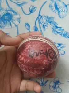 leather ball sighned by msd and virat kohli