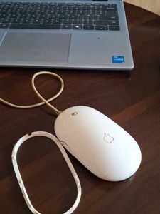 send offers not working Apple Wired Mouse