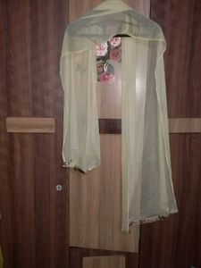Elegant Embroidered Mastani Dress