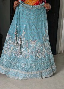 Stunning Embellished Lehenga Choli