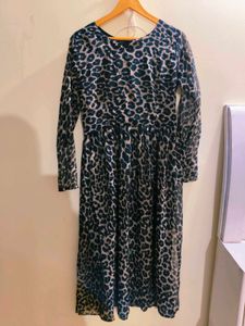 Animal Print Long Sleeve Dress