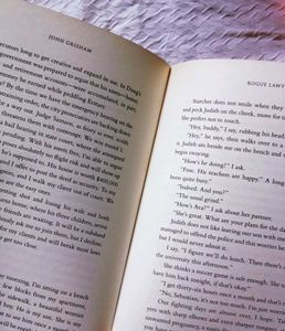 John Grisham Rogue Lawyer Thriller Novel