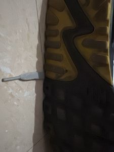 Nike Air Max Sneakers