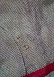 White Dupatta with Pink Embroidery