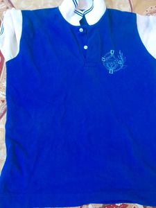 Men's Blue Polo T-Shirt