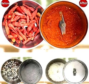 Stainless steel Electric Mini grinder