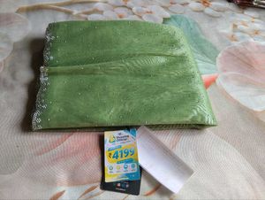 Elegant Light Green Saree