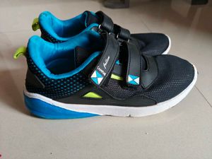 Campus Sports Shoes