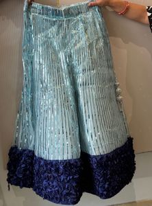 Sparkling Blue Skirt with Embellished Border