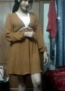 brown minni waist fitted dress