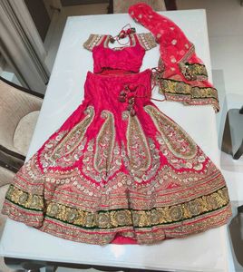 Stunning Pink heavy handwork bridal lehenga Choli