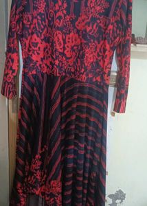 Red & nevi Blue Floral Print Dress