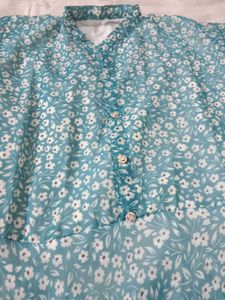 Floral Print Sheer Mini Dress
